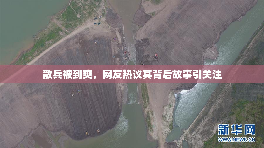 散兵被到爽，网友热议其背后故事引关注