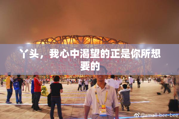 丫头，我心中渴望的正是你所想要的