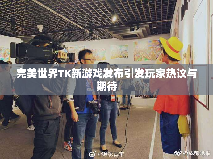 完美世界TK新游戏发布引发玩家热议与期待