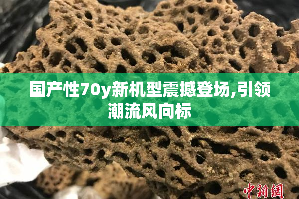 国产性70y新机型震撼登场,引领潮流风向标