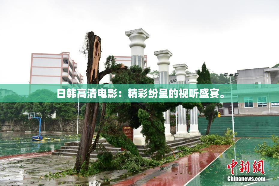 日韩高清电影：精彩纷呈的视听盛宴。