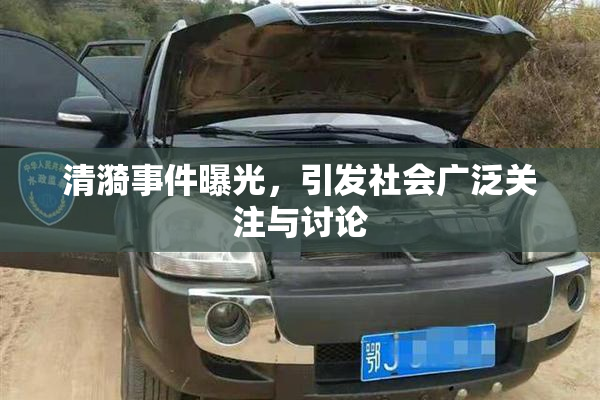 清漪事件曝光，引发社会广泛关注与讨论