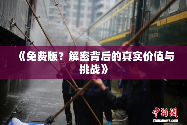 《免费版？解密背后的真实价值与挑战》