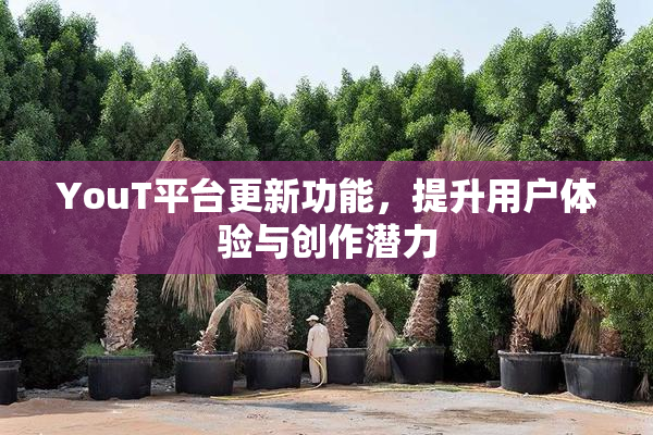 YouT平台更新功能，提升用户体验与创作潜力