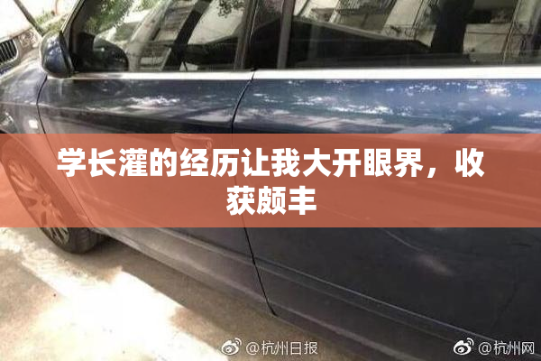 学长灌的经历让我大开眼界，收获颇丰