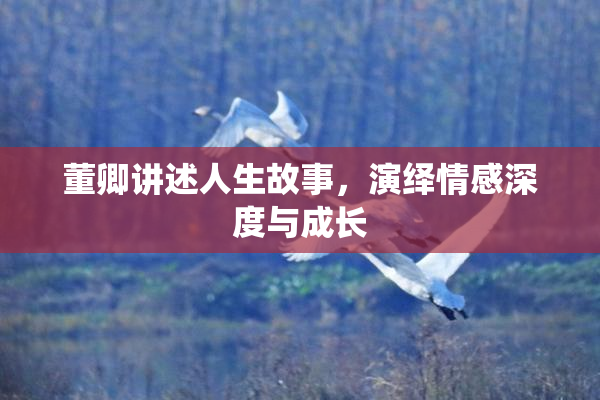 董卿讲述人生故事，演绎情感深度与成长