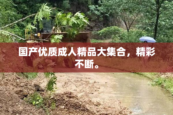 国产优质成人精品大集合，精彩不断。