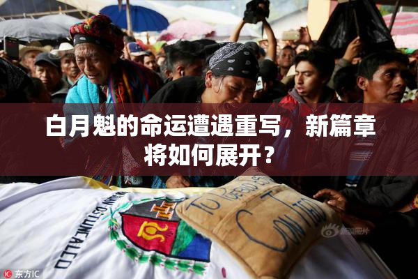 白月魁的命运遭遇重写，新篇章将如何展开？