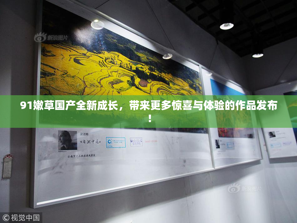 91嫩草国产全新成长，带来更多惊喜与体验的作品发布！