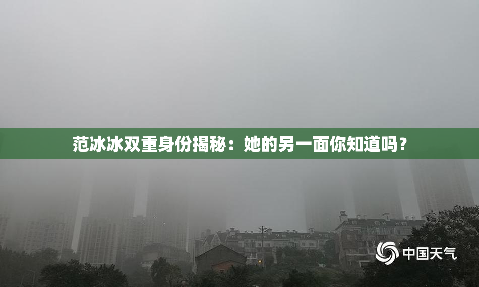 范冰冰双重身份揭秘：她的另一面你知道吗？