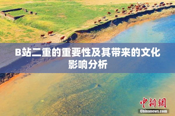 B站二重的重要性及其带来的文化影响分析