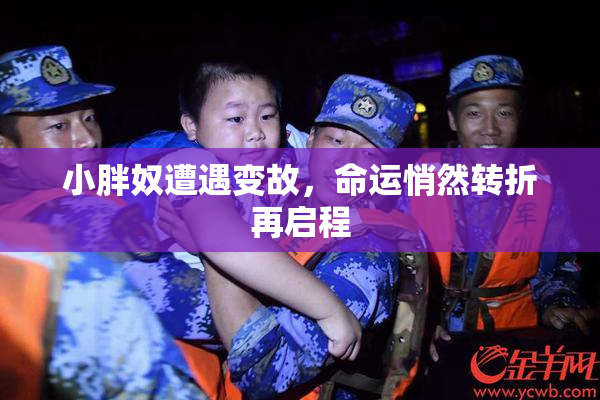 小胖奴遭遇变故，命运悄然转折再启程