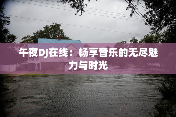 午夜DJ在线：畅享音乐的无尽魅力与时光