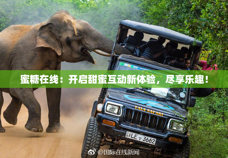 蜜糖在线：开启甜蜜互动新体验，尽享乐趣！