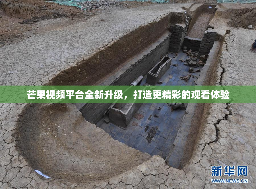 芒果视频平台全新升级，打造更精彩的观看体验