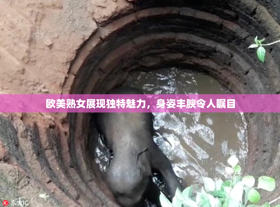 欧美熟女展现独特魅力，身姿丰腴令人瞩目