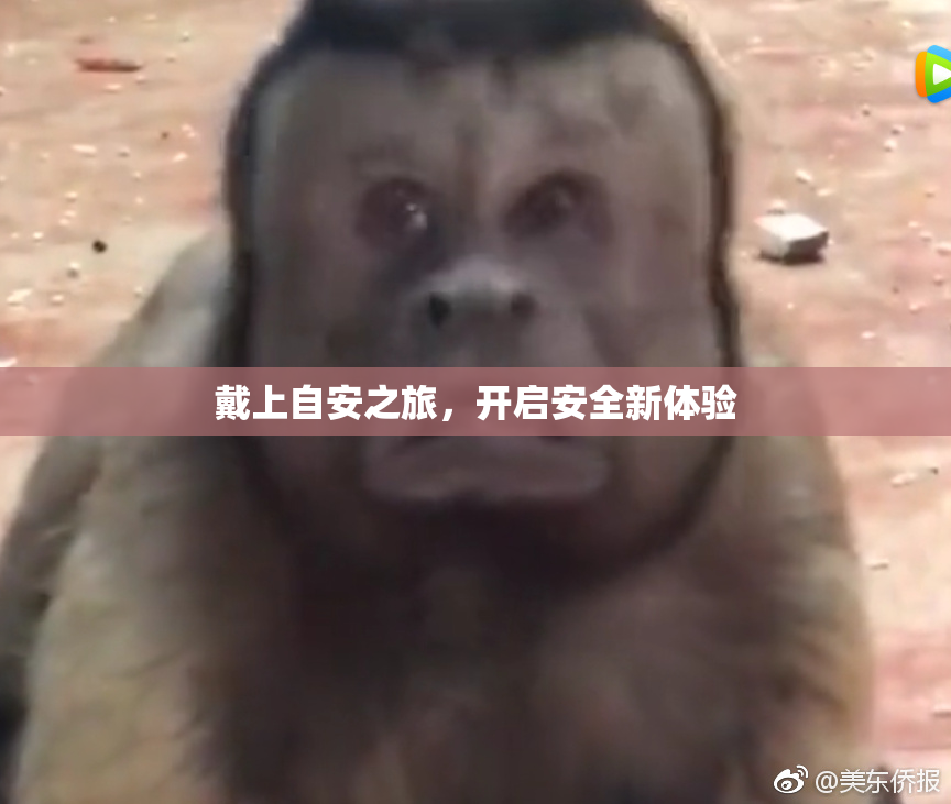 戴上自安之旅，开启安全新体验