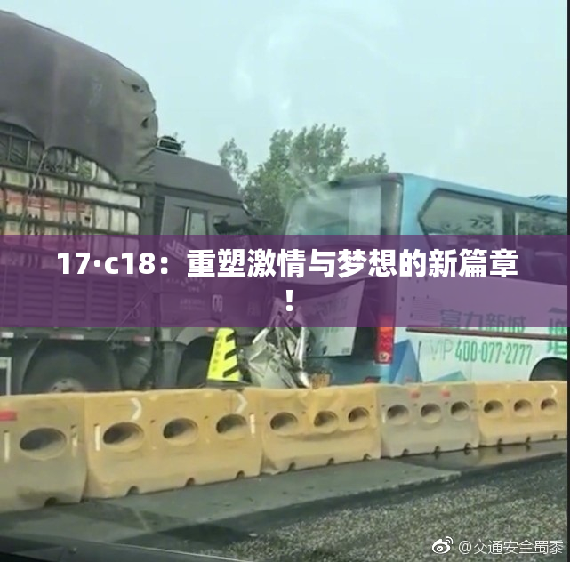 17·c18：重塑激情与梦想的新篇章！