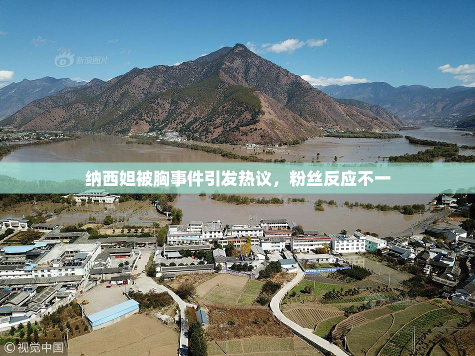 纳西妲被胸事件引发热议，粉丝反应不一