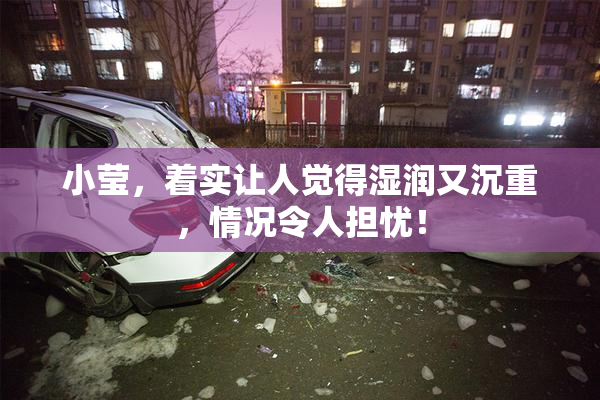 小莹，着实让人觉得湿润又沉重，情况令人担忧！