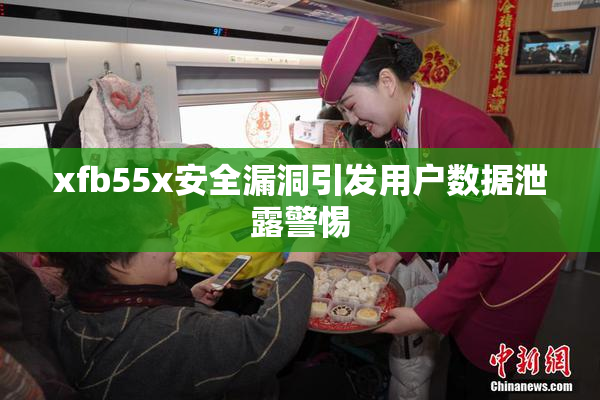 xfb55x安全漏洞引发用户数据泄露警惕