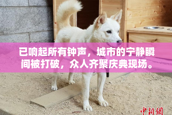 已响起所有钟声，城市的宁静瞬间被打破，众人齐聚庆典现场。