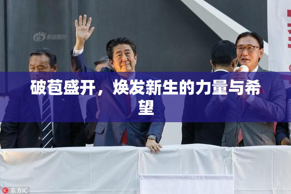 破苞盛开，焕发新生的力量与希望