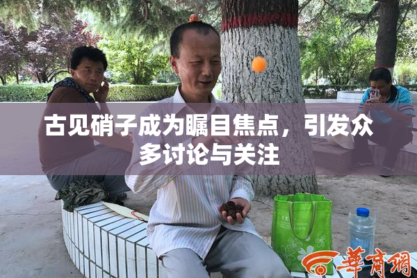古见硝子成为瞩目焦点，引发众多讨论与关注