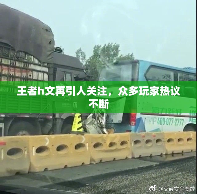 王者h文再引人关注，众多玩家热议不断