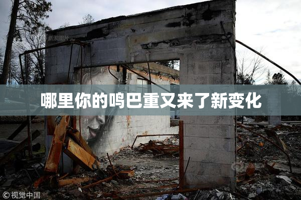 哪里你的鸣巴重又来了新变化