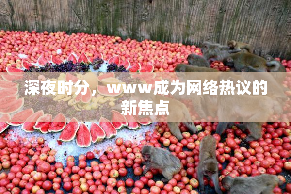深夜时分，www成为网络热议的新焦点
