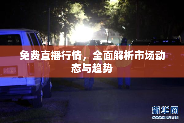 免费直播行情，全面解析市场动态与趋势