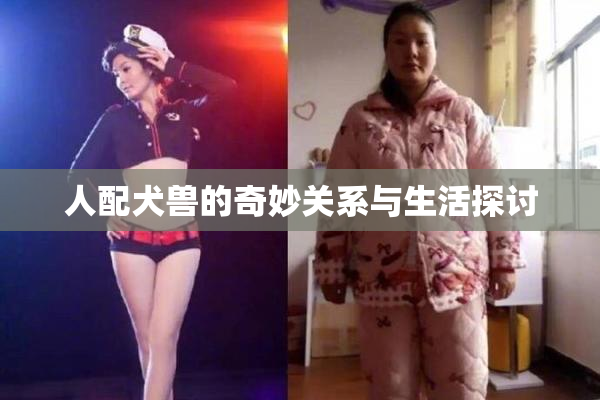 人配犬兽的奇妙关系与生活探讨