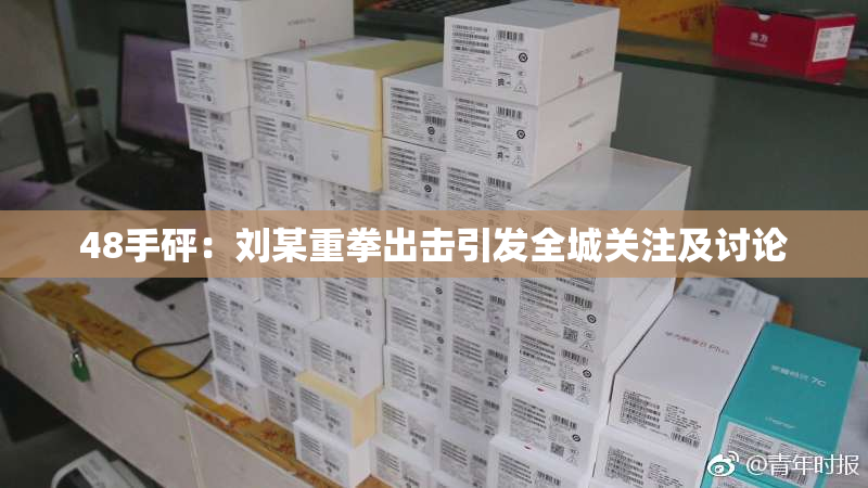 48手砰：刘某重拳出击引发全城关注及讨论