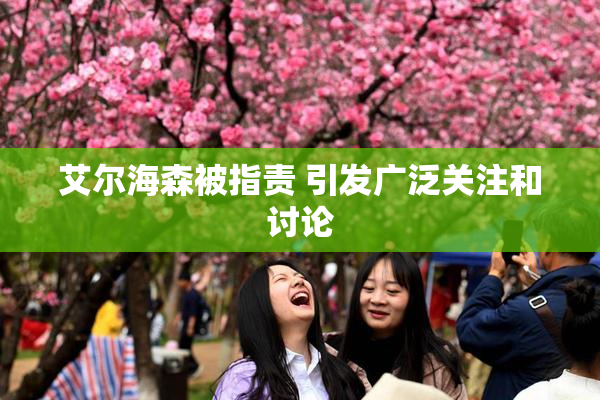 艾尔海森被指责 引发广泛关注和讨论