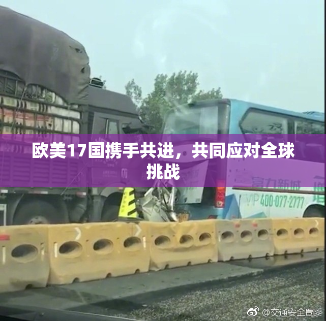 欧美17国携手共进，共同应对全球挑战