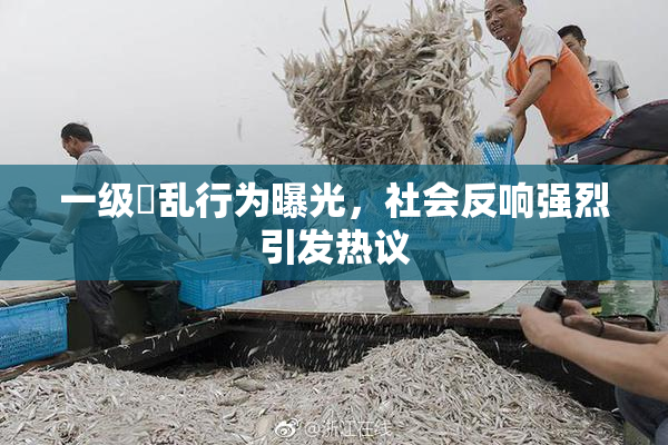 一级婬乱行为曝光，社会反响强烈引发热议