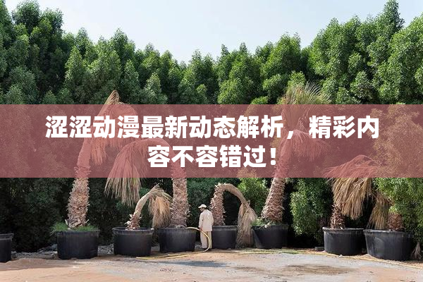 涩涩动漫最新动态解析，精彩内容不容错过！