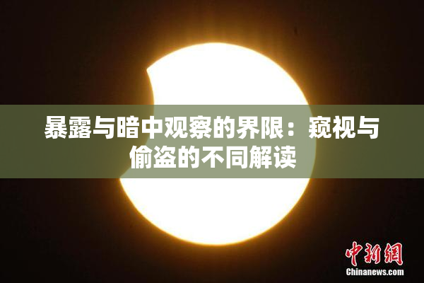 暴露与暗中观察的界限：窥视与偷盗的不同解读