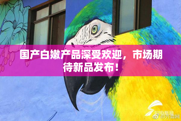 国产白嫩产品深受欢迎，市场期待新品发布！