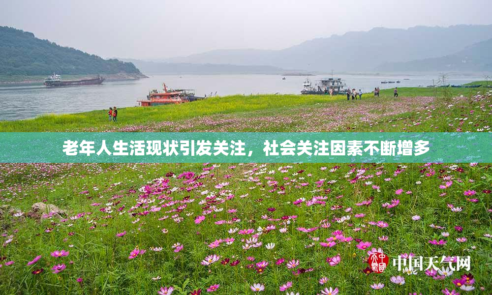 老年人生活现状引发关注，社会关注因素不断增多