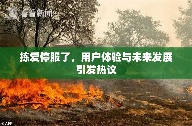 拣爱停服了，用户体验与未来发展引发热议