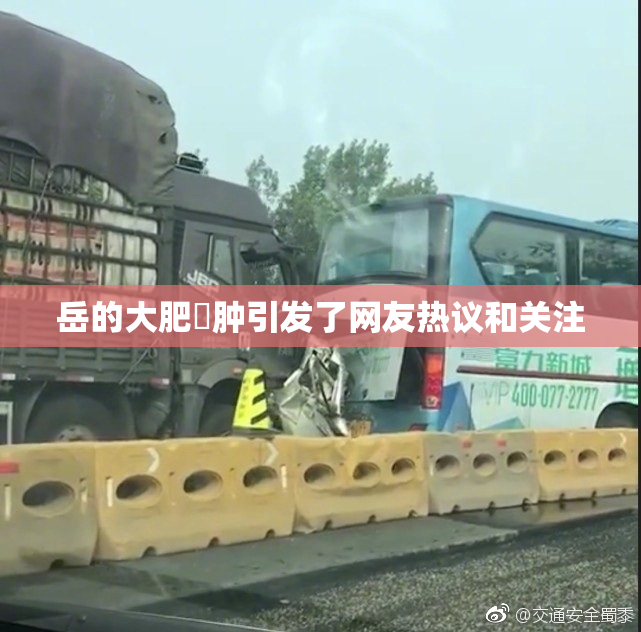 岳的大肥坹肿引发了网友热议和关注