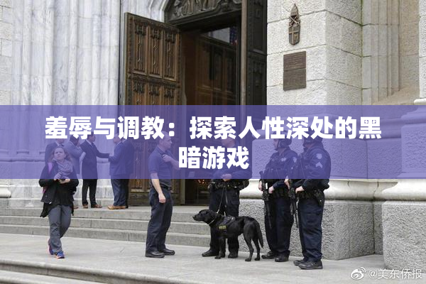 羞辱与调教：探索人性深处的黑暗游戏