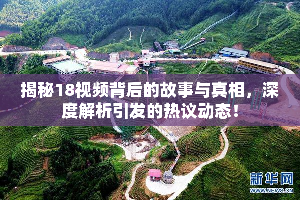 揭秘18视频背后的故事与真相，深度解析引发的热议动态！