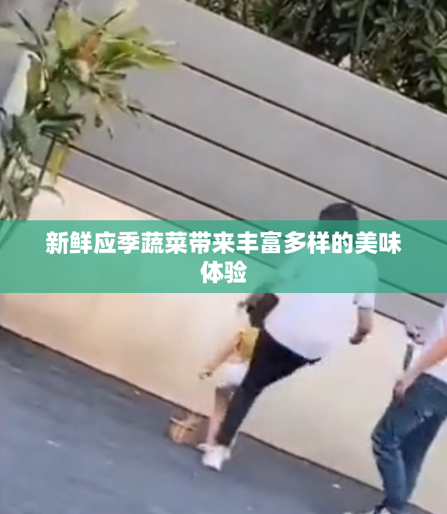 新鲜应季蔬菜带来丰富多样的美味体验