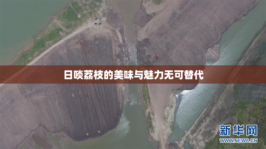 日啖荔枝的美味与魅力无可替代