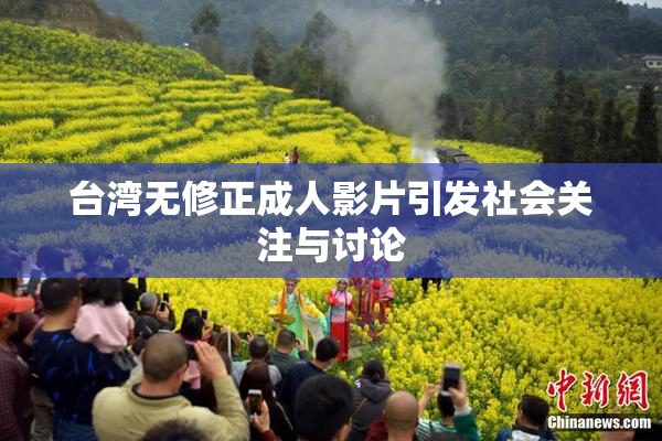 台湾无修正成人影片引发社会关注与讨论