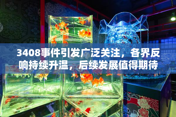 3408事件引发广泛关注，各界反响持续升温，后续发展值得期待