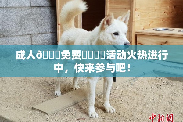 成人🔞免费❌‌❌‌活动火热进行中，快来参与吧！